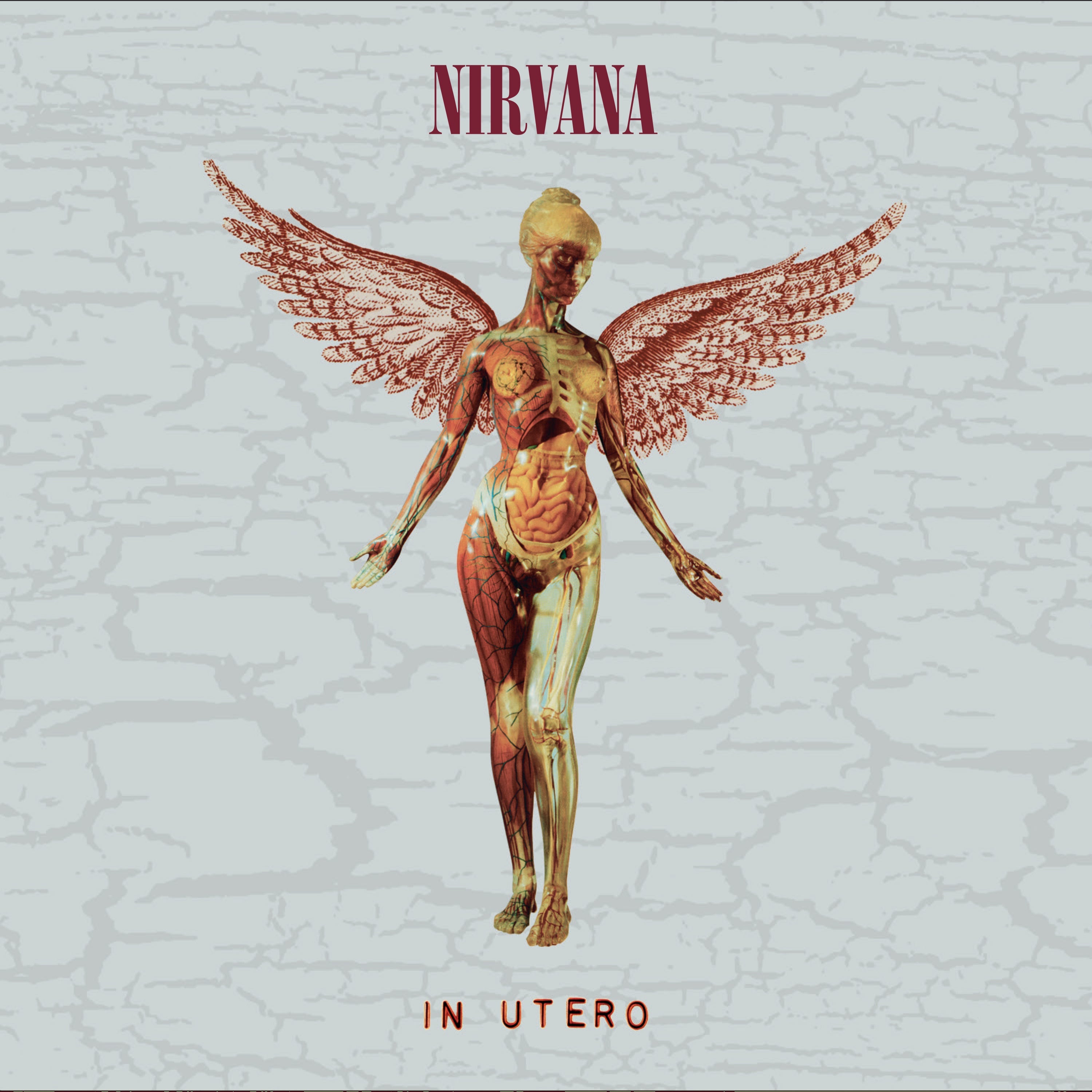 In Utero 30th Anniversary 2CD Deluxe - Importado