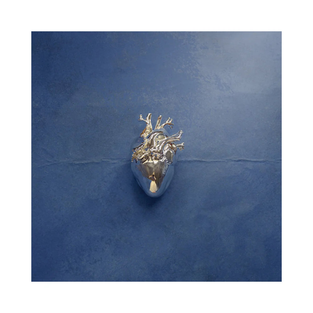 What Happened To The Heart?
(Earth's Version) Exclusivo 2LP - Importado