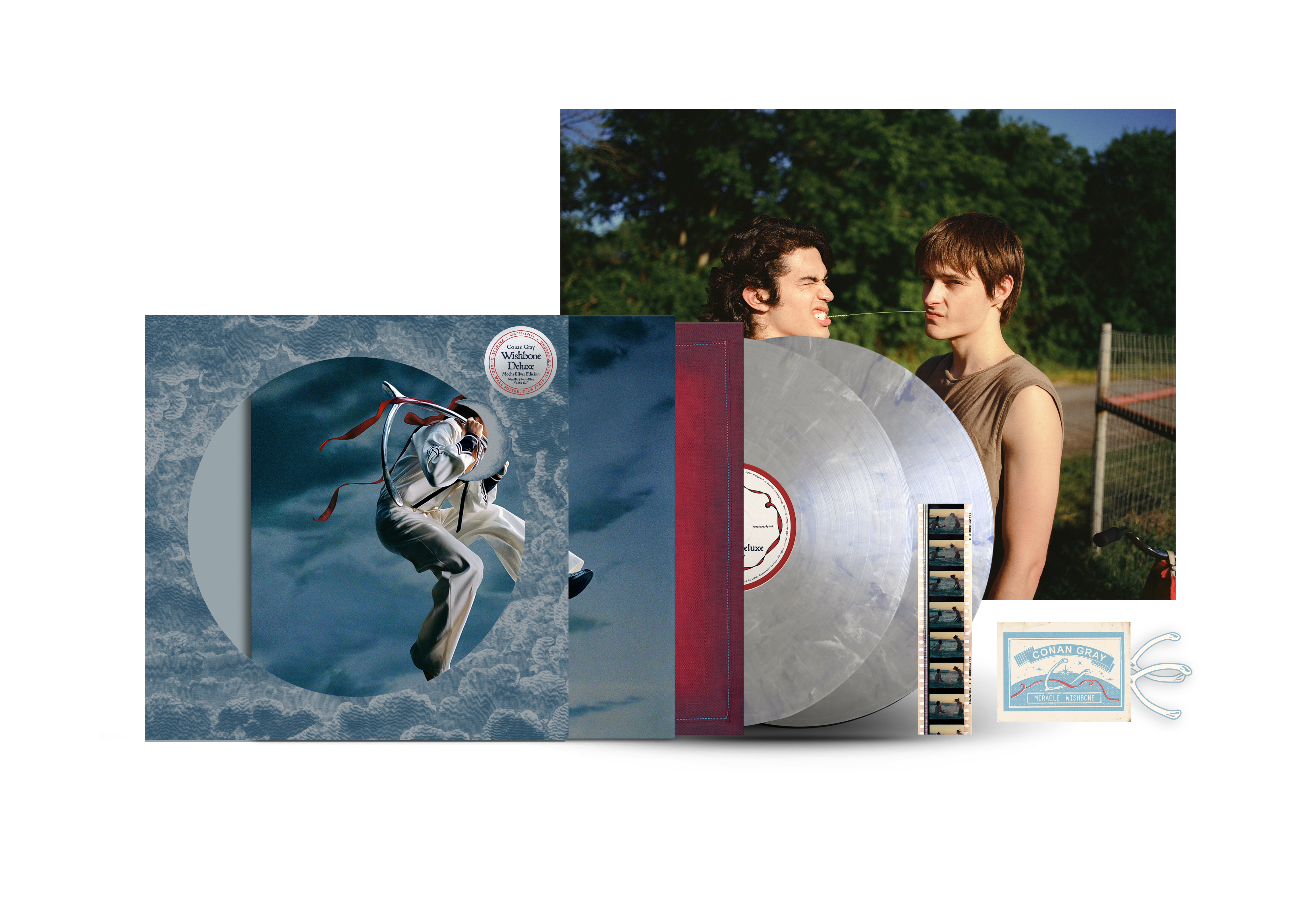 Conan Gray Wishbone Deluxe 2LP (Edición Moths Silver) - Importado