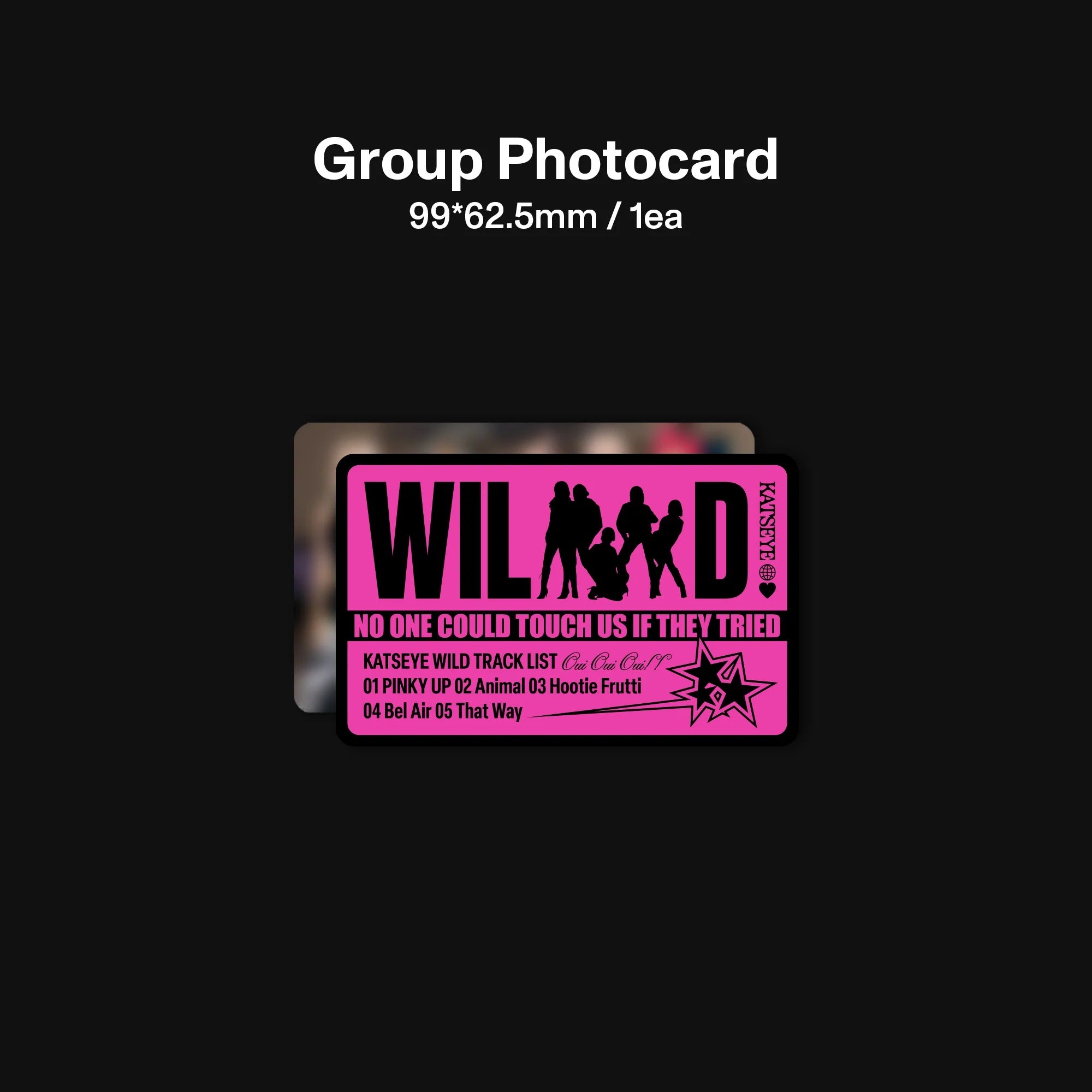 WILD - Vinilo Oficial Exclusivo de Tienda - Importado
