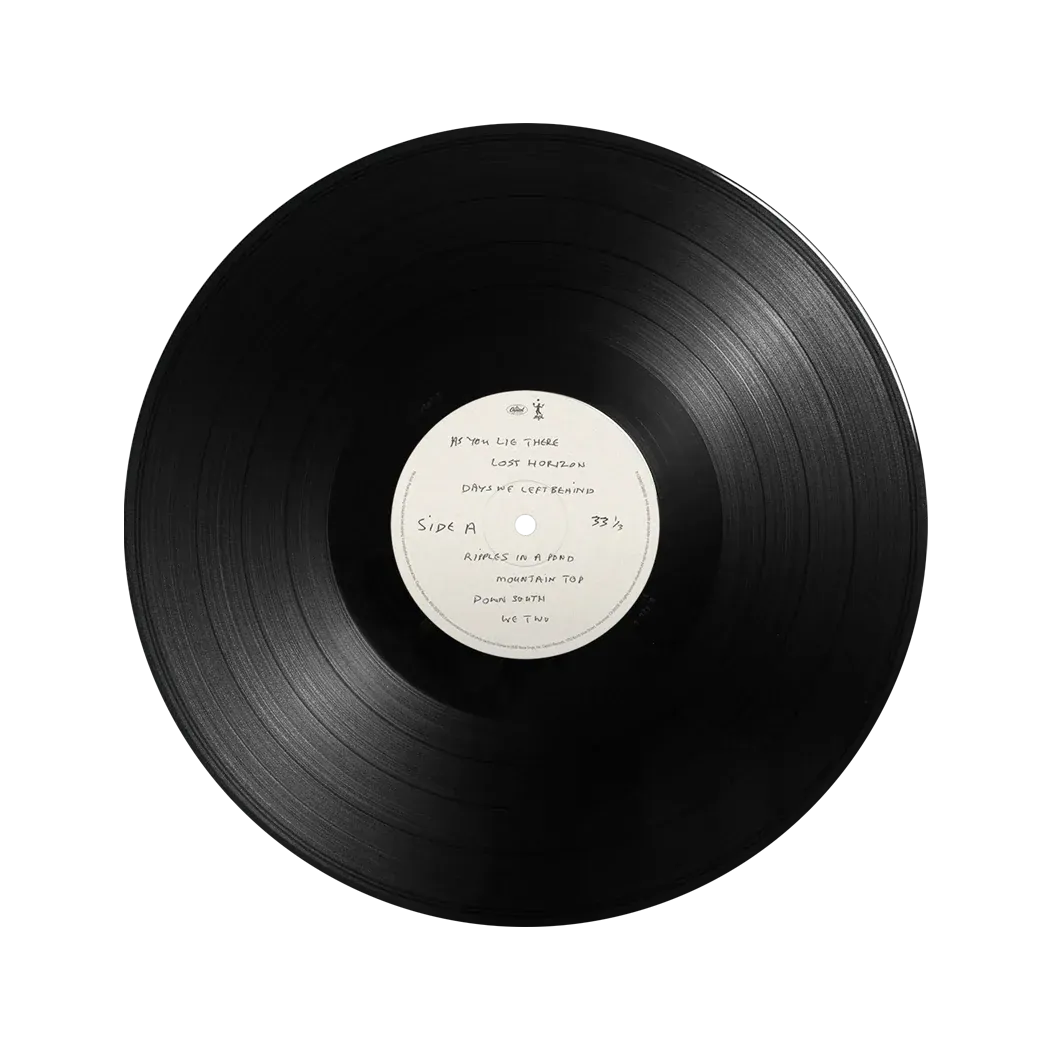 The Boys Of Dungeon Lane - LP - Importado