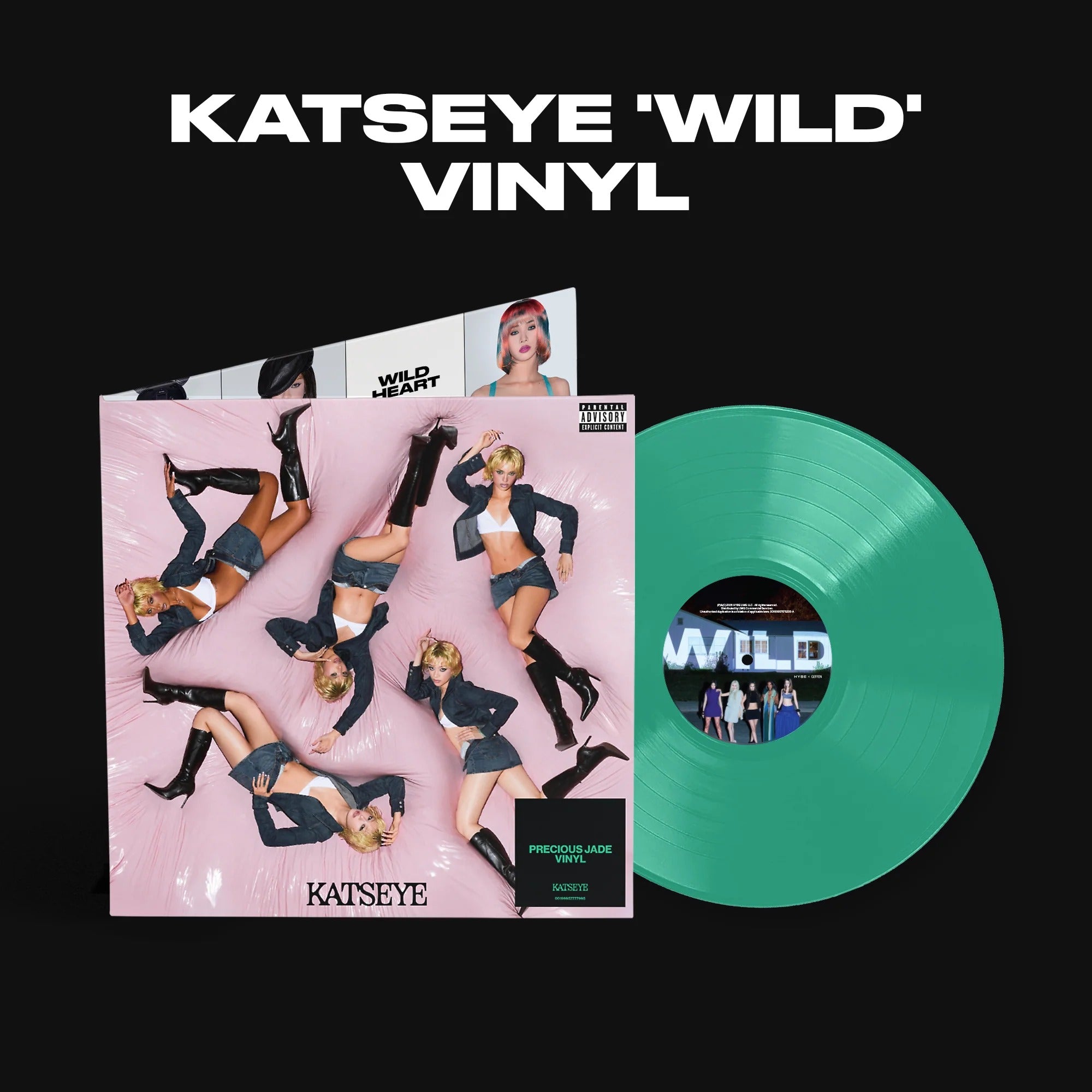 WILD - Vinilo Estándar - Importado