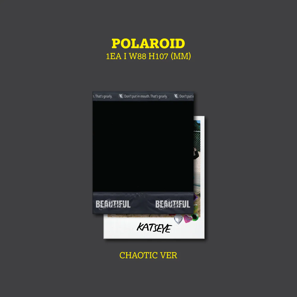 BEAUTIFUL CHAOS - Chaotic Ver.