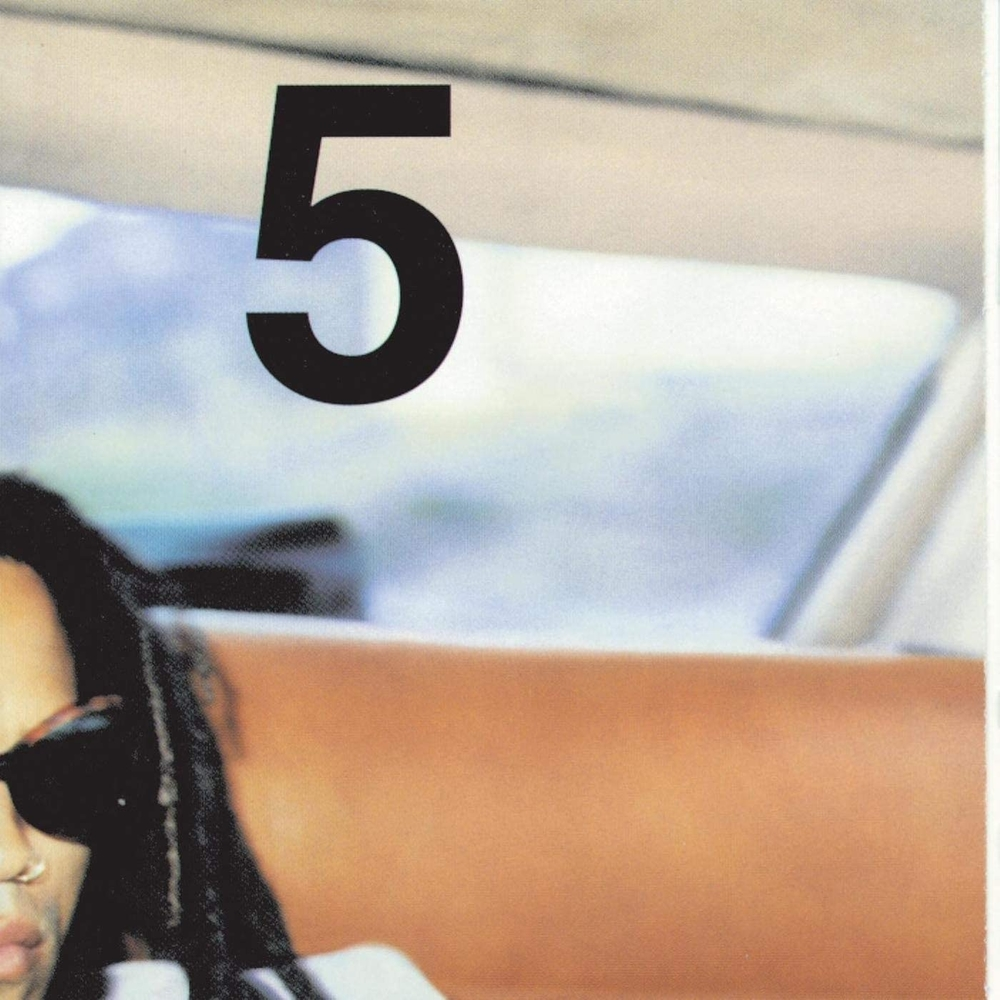 DOS VINILOS - LENNY KRAVITZ - 5 - IMPORTADO